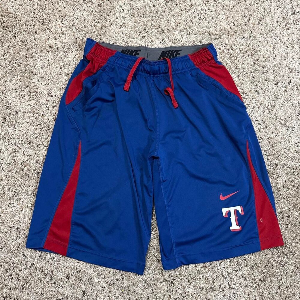 Nike Men's multi Shorts